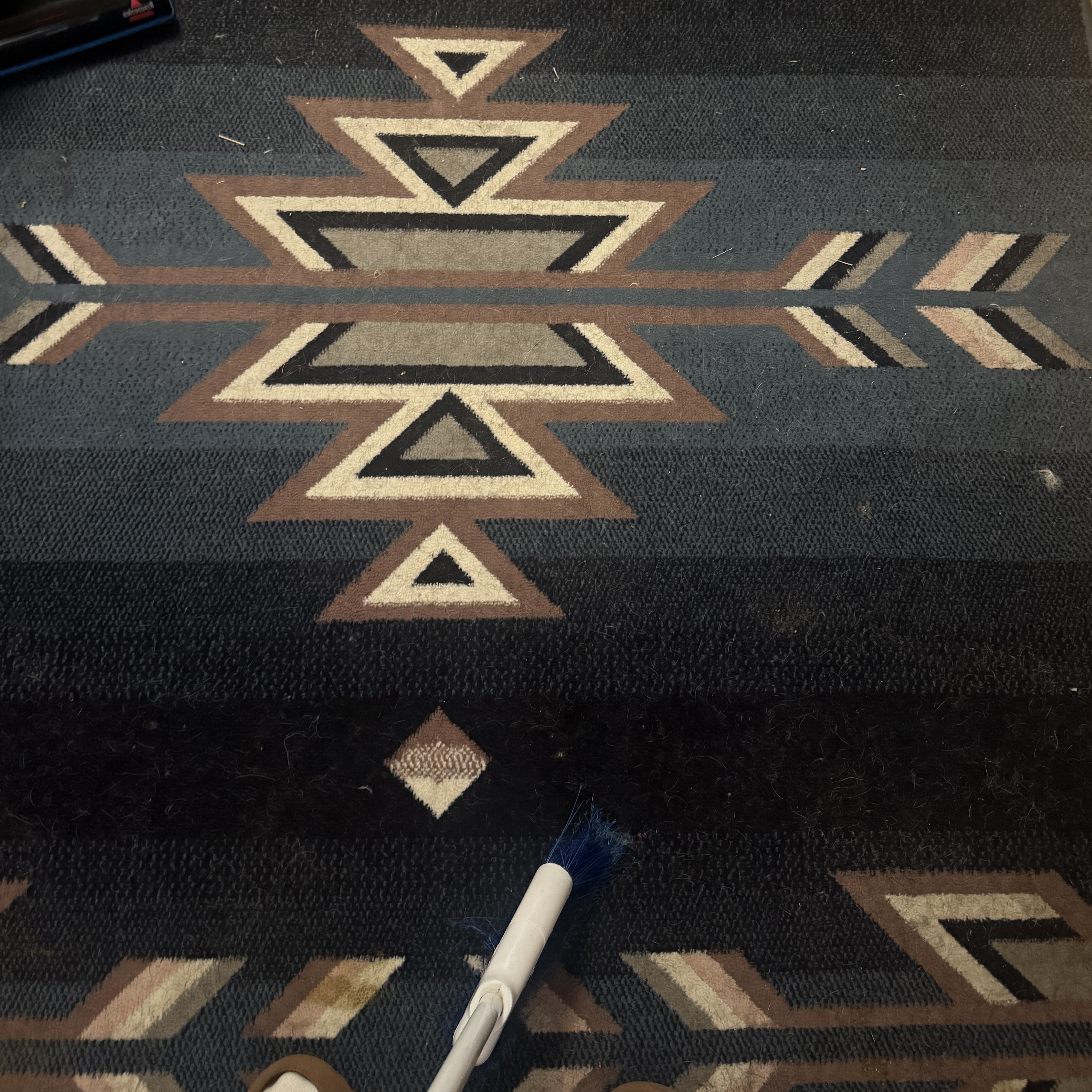 Carpet Before Cleaning